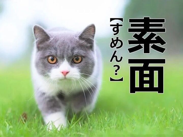 【素面】を「すめん」と読むと笑われます!【読めないと恥ずかしい漢字クイズ】