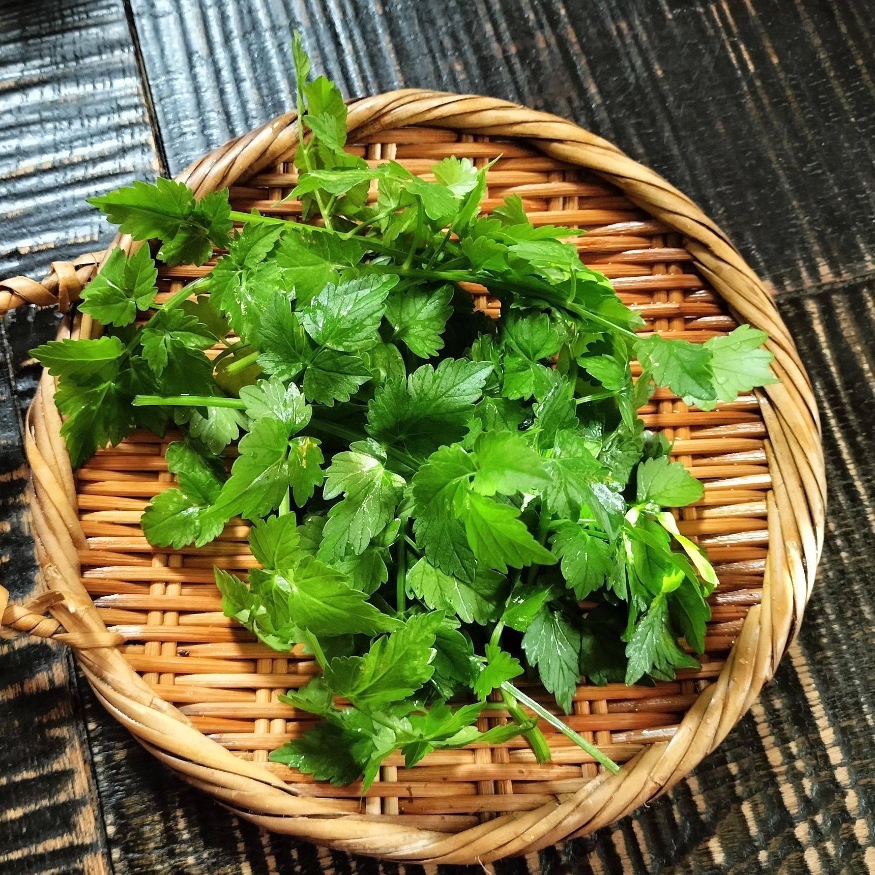 野菜の再生栽培！独特の味と香りと食感がクセになる！セリの生！メヒカリの塩焼きと唐揚げの付け合せに！