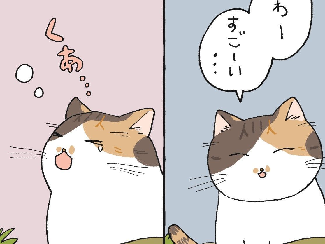 ミー子たけのこ掘りに行く【てらねこミー子の日常】