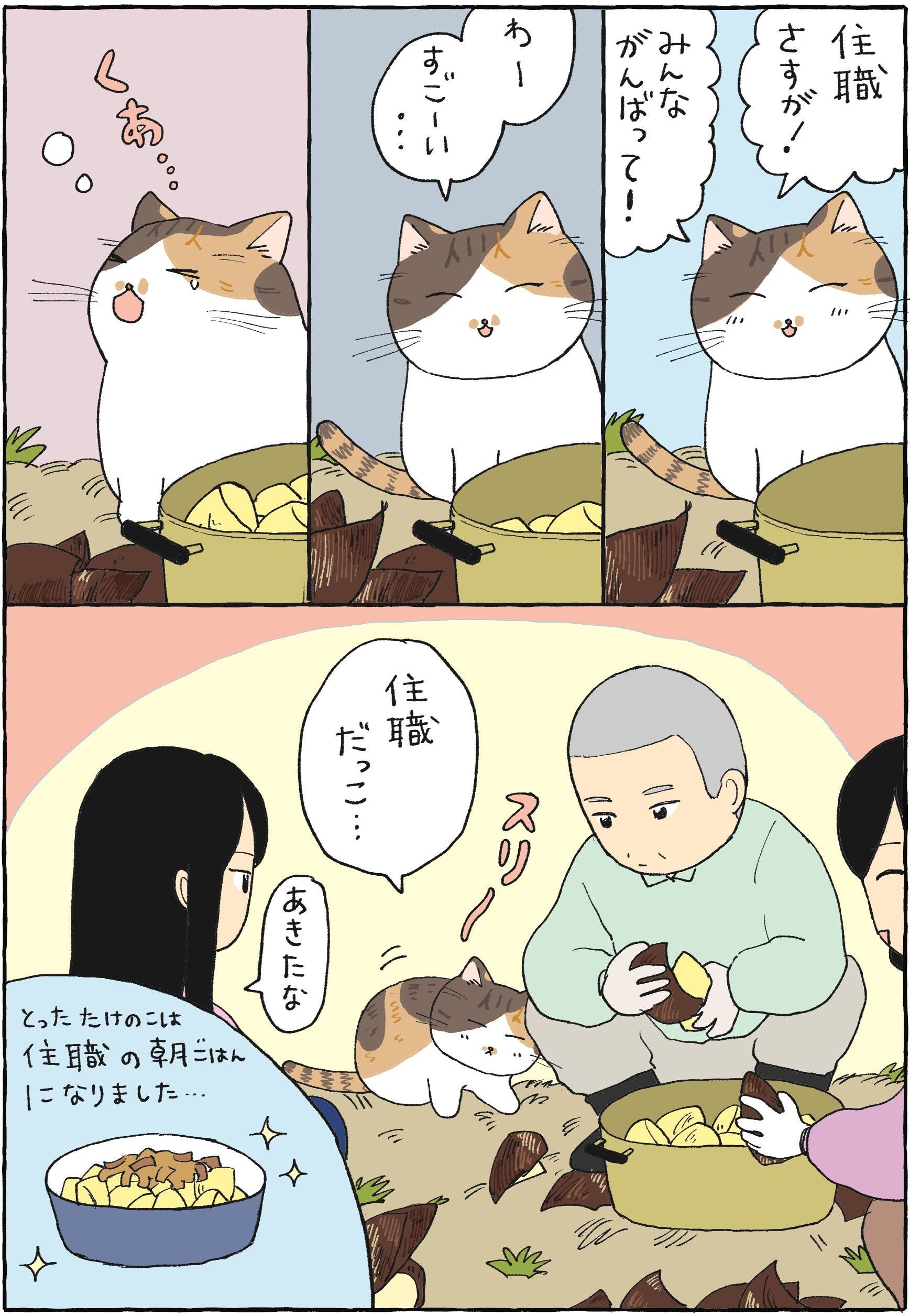 ミー子たけのこ掘りに行く【てらねこミー子の日常】 2ページ目｜暮らし
