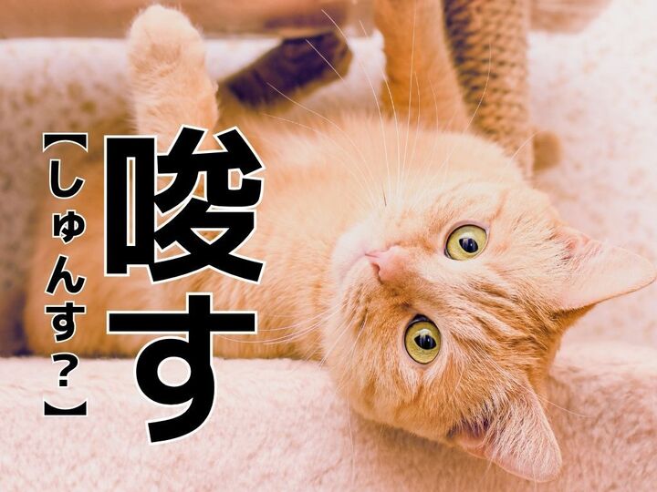 【唆す】を「しゅんす?」と読むと笑われます!【読めないと恥ずかしい漢字クイズ】
