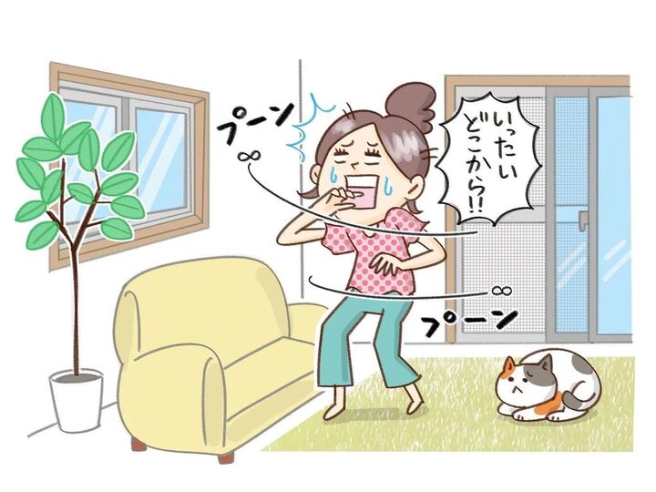 え?知らなかった!「網戸」の正しい使い方で夏の困った“虫”対策