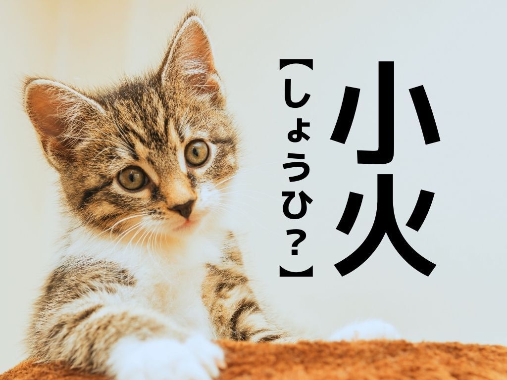 【小火】なんて読む？「こび」でも「しょうひ」でもありませんよ【読めたらスゴイ！漢字クイズ】