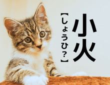 【小火】なんて読む？「こび」でも「しょうひ」でもありませんよ【読めたらスゴイ！漢字クイズ】