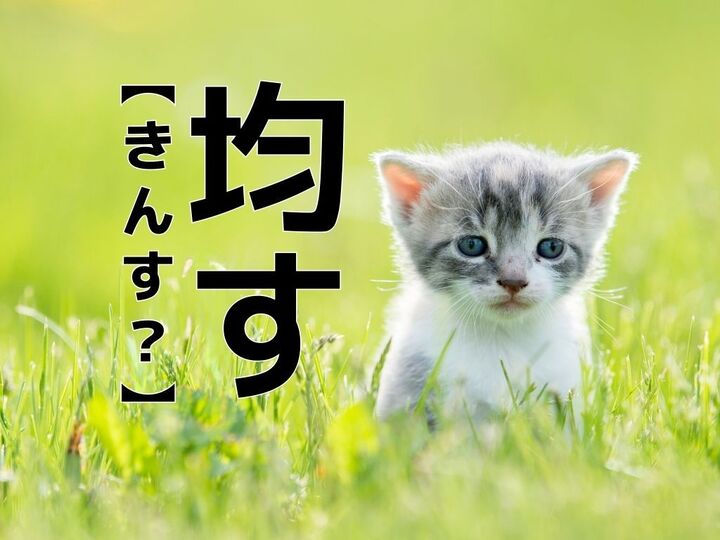 【均す】を「きんす…?」と読んだら笑われます!【読めないと恥ずかしい漢字クイズ】