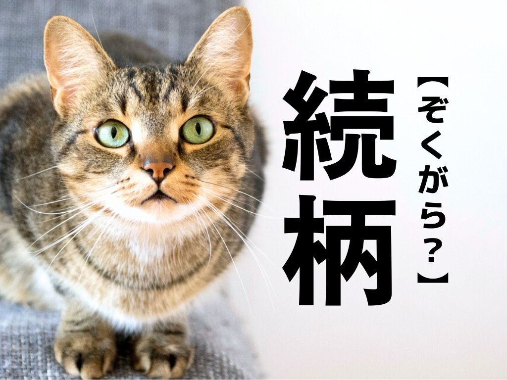 【続柄】なんて読む？「ぞくがら」ではありませんよ！【間違えやすい漢字クイズ】