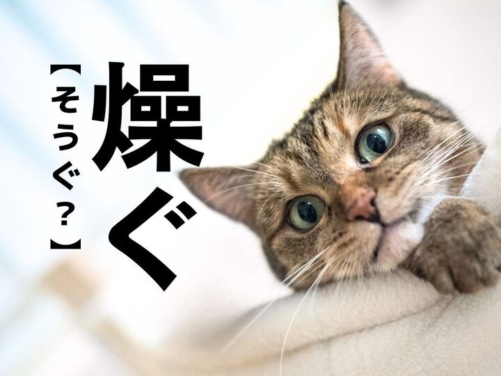 【燥ぐ】なんて読む?「まさかの答え!」「漢字存在したんだ(笑)」【読めたらスゴ!!漢字クイズ】