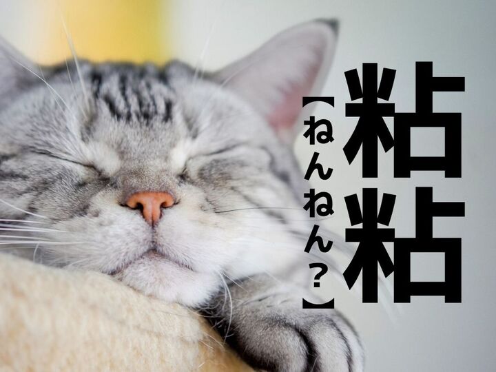 【粘粘】をうっかり「ねんねん」と読むと笑われます!【読めないと恥ずかしい漢字クイズ】
