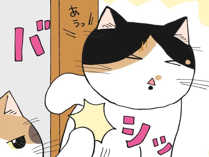母さんはご機嫌ナナメ【てらねこミー子の日常】