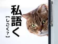 【私語く】をそのまま「しごく」と読んじゃダメ！まさかの読み方とは？【読めないと恥ずかしい漢字クイズ】