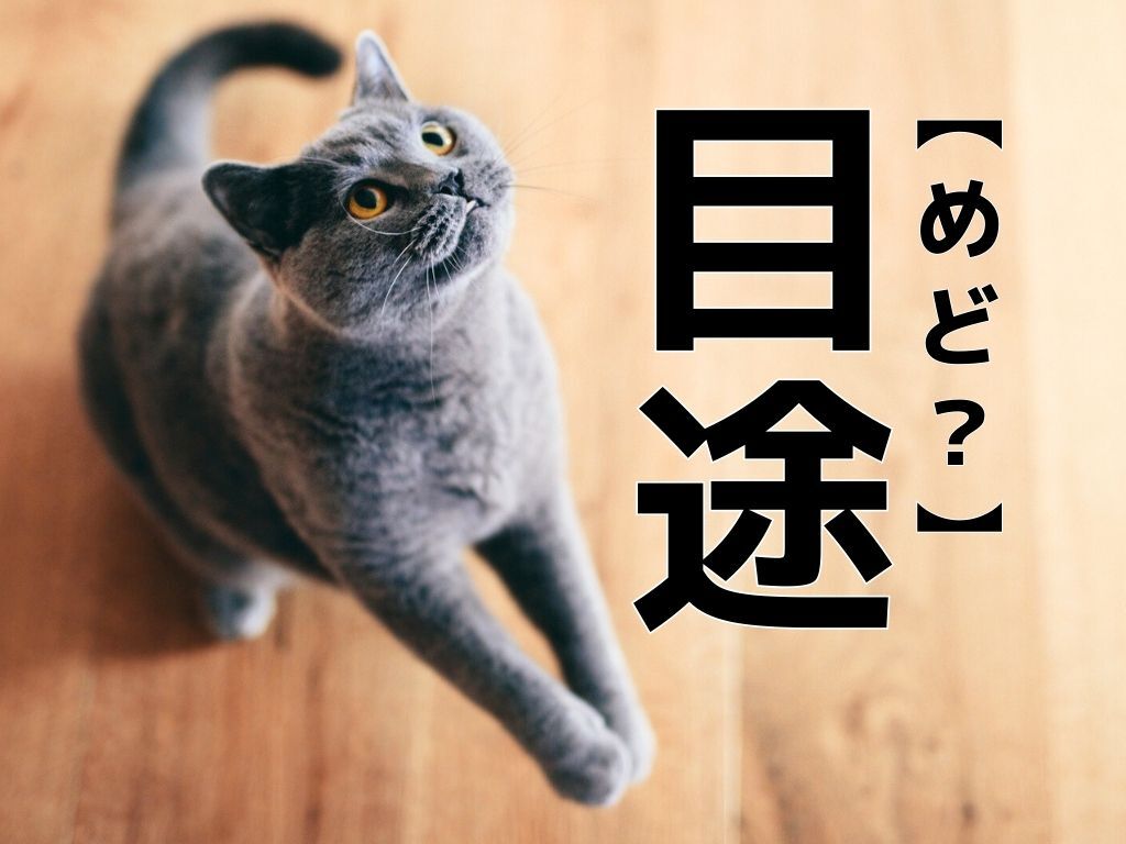 【目途】は「めど」じゃない！？本来の読み方とは？【知っているようで知らない漢字クイズ】