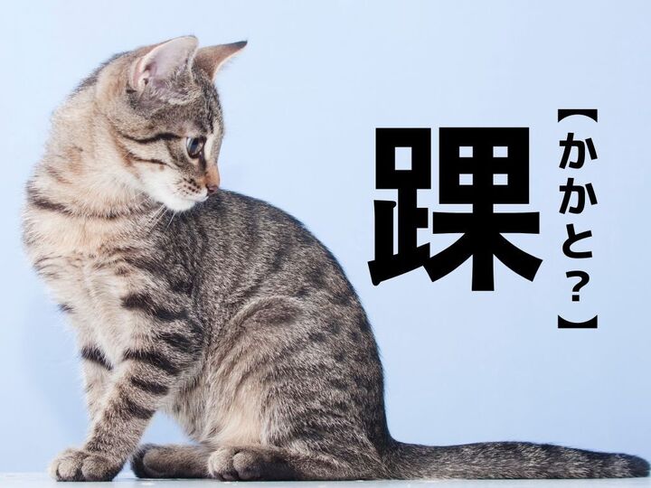 【踝】なんて読む?ヒントは足の一部。「かかと」ではありませんよ(笑)【読めそうで読めない漢字クイズ】