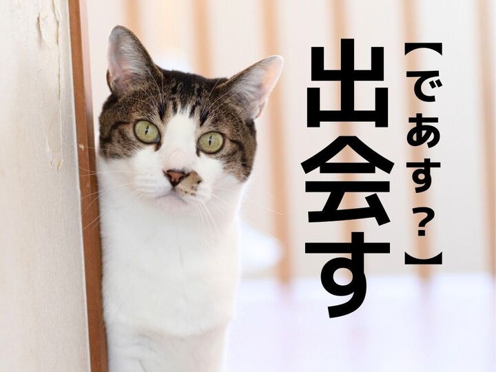【出会す】を「であす」と読んだら笑われます!【読めないと恥ずかしい漢字クイズ】