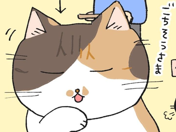 クロ、アターーック!!!【てらねこミー子の日常】