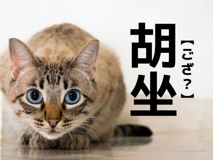 【胡坐】なんて読む?「ござ」ではありませんよ!【読めそうで読めない漢字クイズ】