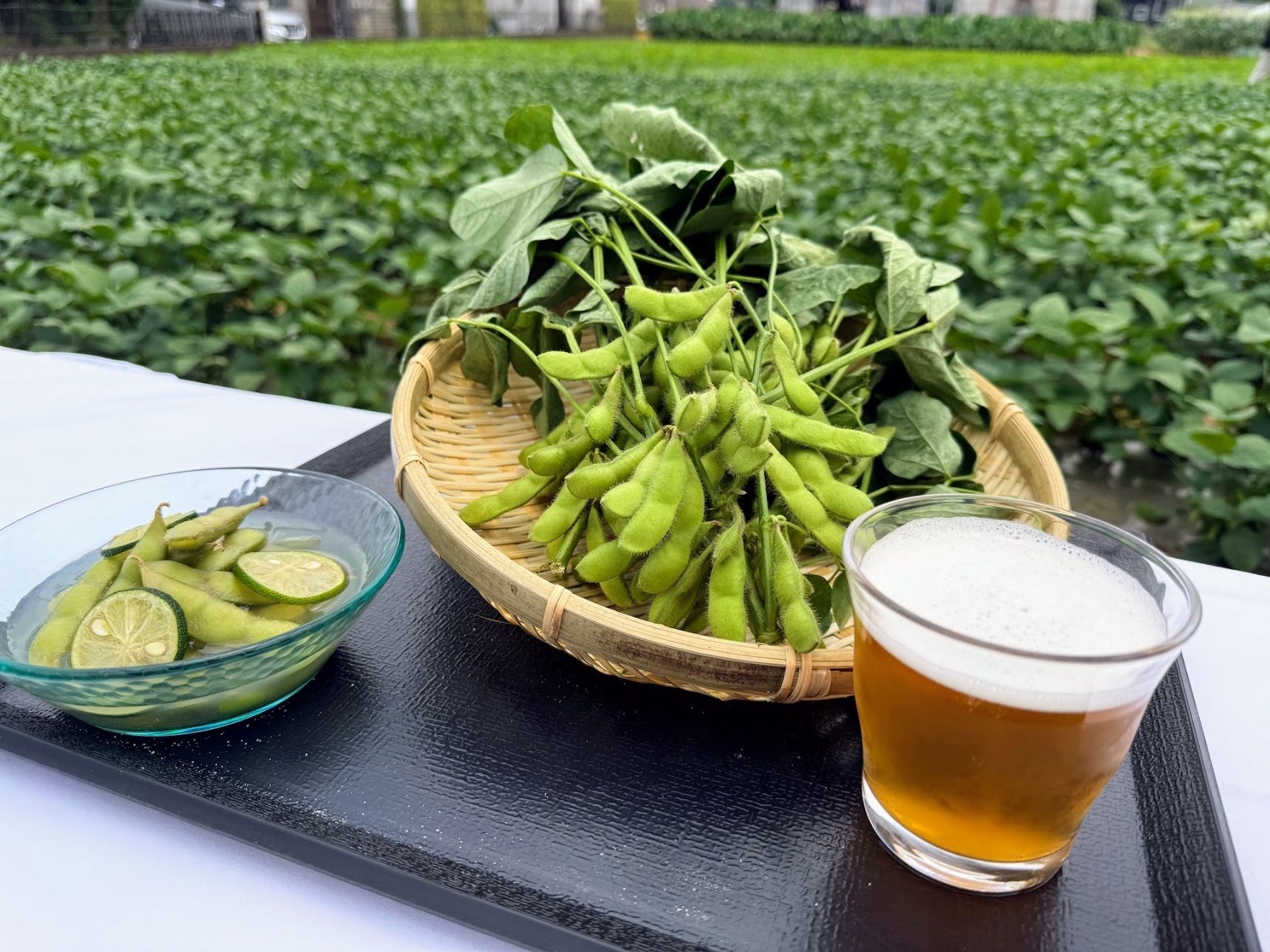 鮮度が命の東京産枝豆に注目！枝豆×クラフトビールが味わえる「東京クラフト枝豆WEEK」開催
