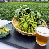 鮮度が命の東京産枝豆に注目！枝豆×クラフトビールが味わえる「東京クラフト枝豆WEEK」開催