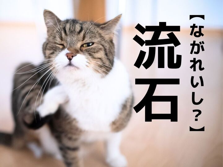 【流石】を「ながれいし?」とうっかり読んだら笑われます!【読めないと恥ずかしい漢字クイズ】