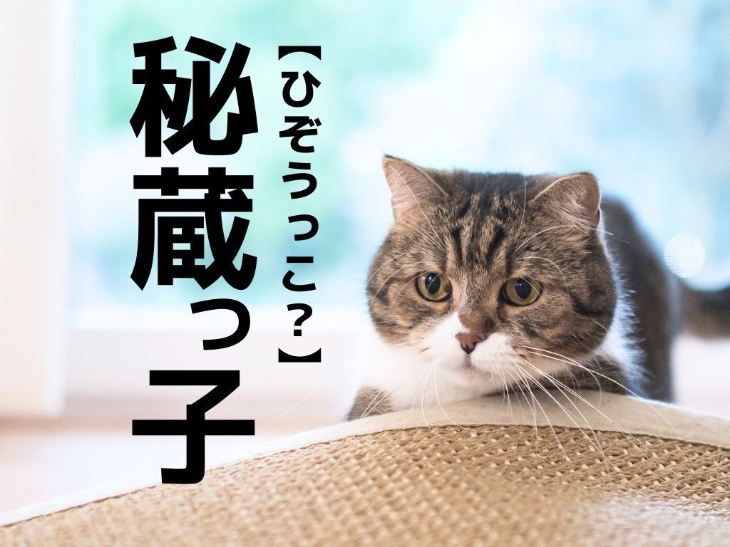 【秘蔵っ子】は「ひぞうっこ」以外に読み方がある！？【意外と知らない漢字クイズ】