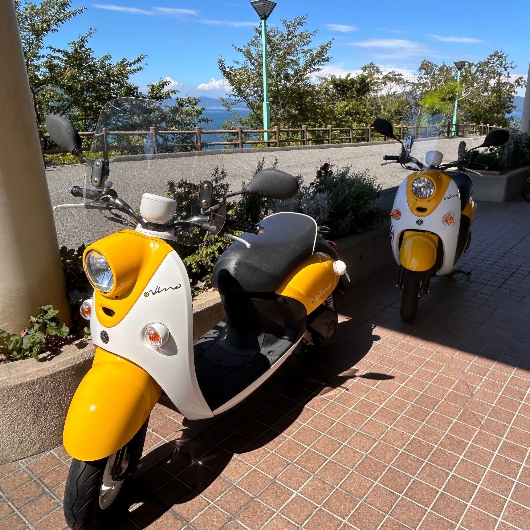 自転車やバイクの貸し出しあり