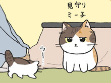 2匹が初めてうちに来た日【てらねこミー子の日常】