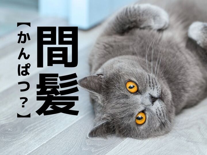 【間髪】を「かんぱつ」と読むのは間違い!?本来の読み方知ってる?【読めないと恥ずかしい漢字クイズ】