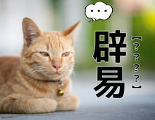 【辟易】って読める？語源は中国の『史記』にアリ！その意外すぎる意味とは【読めそうで読めない漢字クイズ】