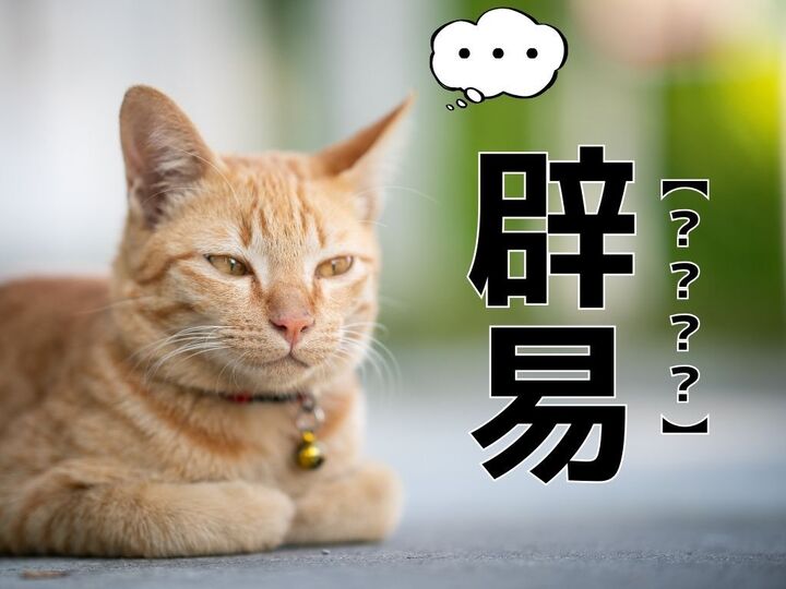 【辟易】って読める?語源は中国の『史記』にアリ!その意外すぎる意味とは【読めそうで読めない漢字クイズ】