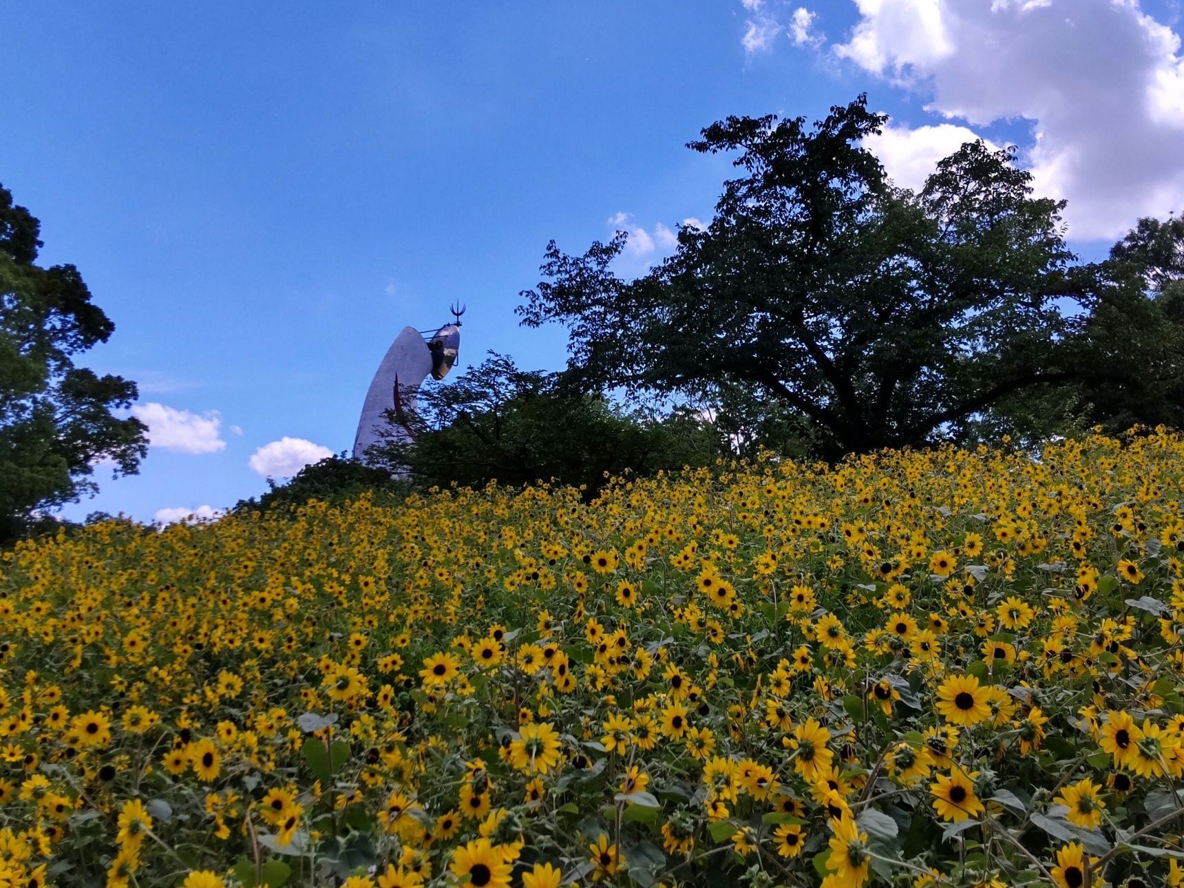 『蚊』は、メスが吸血します。