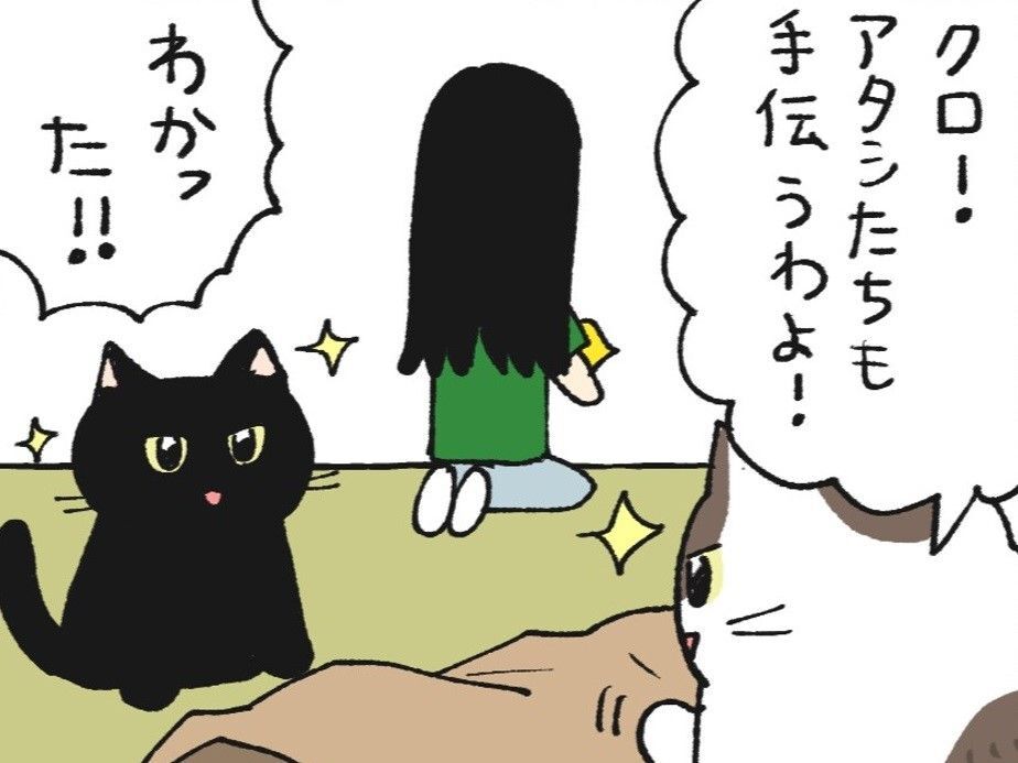 お盆と仏壇とねこたちと【てらねこミー子の日常】