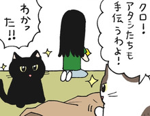 お盆と仏壇とねこたちと【てらねこミー子の日常】