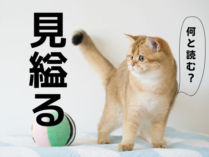 【見縊る】何と読む?→ヒント『相手のことを過小評価する』こと。マンガに出てきそうな言葉ですよ(笑)【漢字クイズ】