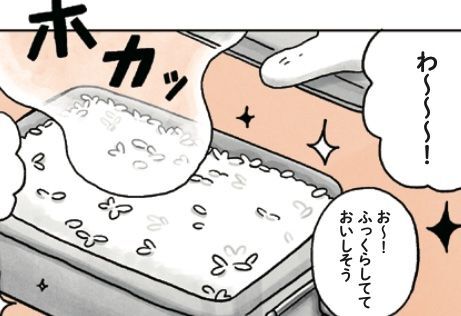 網を使ったり石を使ったり♪キャンプならではのメスティン炊飯！【はじめてのキャンプめし#09】