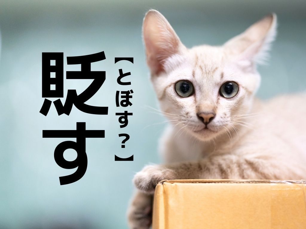 【貶す】なんて読む？「とぼす」ではありませんよ！【読めそうで読めない漢字クイズ】