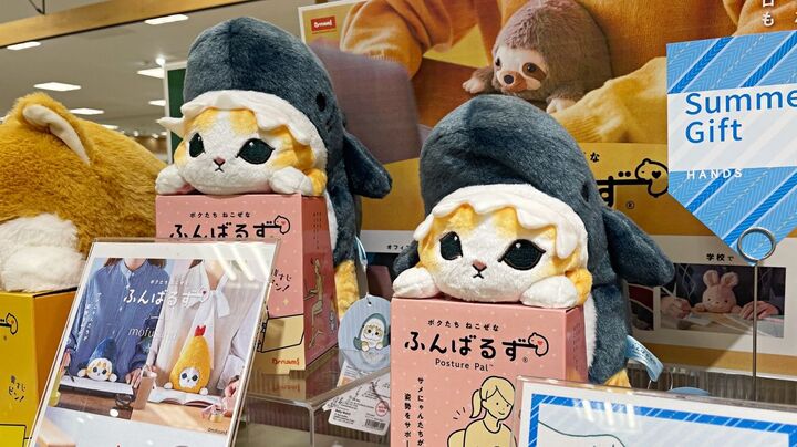 姿勢が良くなる『ふんばるず』が今大人気!職場でも使いたくなる!?超可愛いぬいぐるみの秘密とは