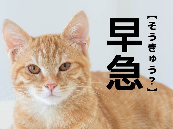 【早急】は「そうきゅう」と読まない!?本来の読み方とは【知らないと恥ずかしい漢字クイズ】