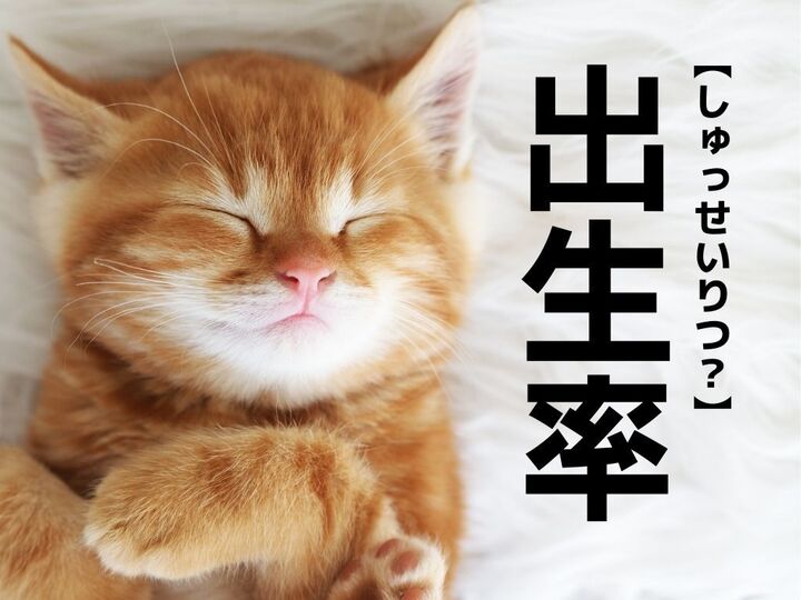 【出生率】は「しゅっせいりつ」とは読まない!?正しい読み方知ってる?【読めないと恥ずかしい漢字クイズ】