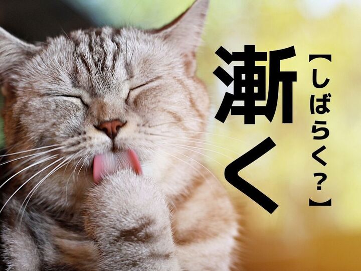 【漸く】なんて読む?「しばらく」ではありませんよ!【読めないと恥ずかしい漢字クイズ】
