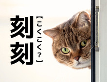 【刻刻】なんて読む？『こくこく』ではありませんよ。「まさかすぎる！」「読める人ほぼいないのでは…」〈漢字クイズ〉