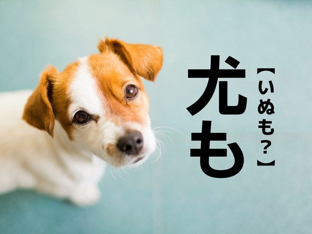 【尤も】なんて読む？よく見てください「犬（イヌ）」ではありませんよ【読めそうで読めない漢字クイズ】