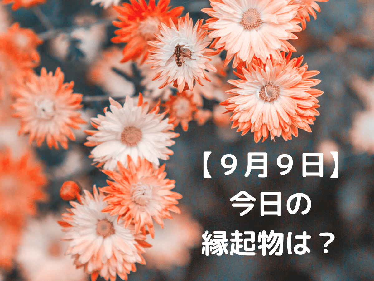 【9月9日が特別な理由】「9」と「菊の花」にまつわる縁起とは