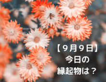 【9月9日が特別な理由】「9」と「菊の花」にまつわる縁起とは