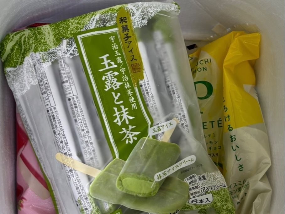 保冷バックにアイスを入れれば、他の商品を選んだりレジ待ちの時にも安心ですね。