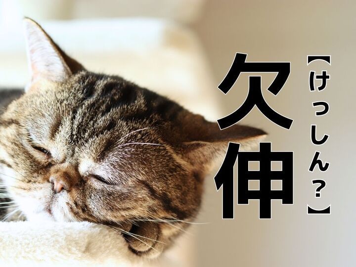 【欠伸】なんて読む?「ケッシン」ではありませんよ!【読めないと恥ずかしい漢字クイズ】