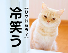 【冷笑う】の読み方わかる？「ひやわらう」ではありませんよ！【読めたらスゴイ漢字クイズ】