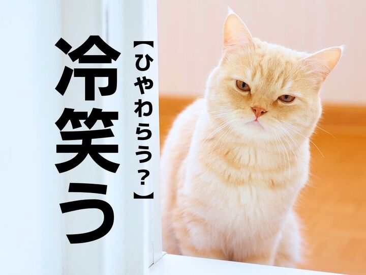 【冷笑う】の読み方わかる?「ひやわらう」ではありませんよ!【読めたらスゴイ漢字クイズ】