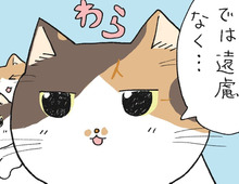 お寺にパトカーがやってきた日。【てらねこミー子の日常】