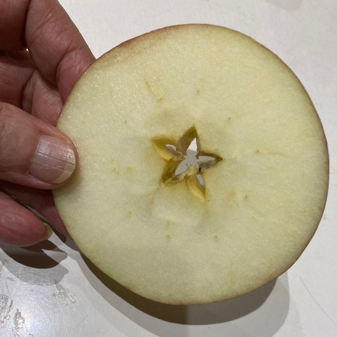 このまま周りをかじると、皮は気にしないで芯の際まで食べられます♪