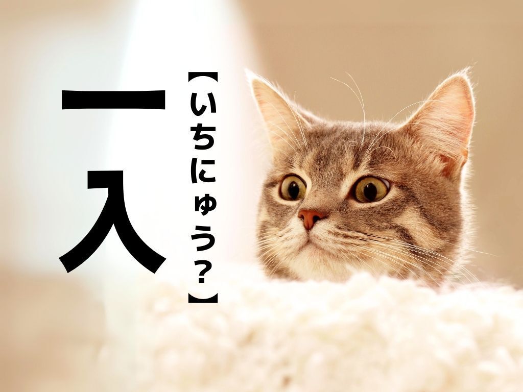 【一入】なんて読む？「いちにゅう」でも「いちいり」でもありませんよ！【簡単そうで読めない漢字クイズ】