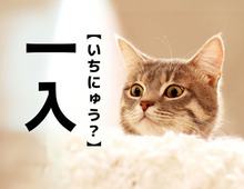 【一入】なんて読む？「いちにゅう」でも「いちいり」でもなく、答えは意外すぎるあの言葉！！｜漢字クイズ